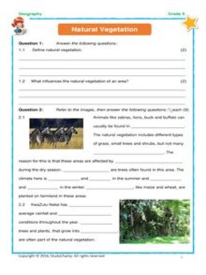 cover image of Grade 5 Geography Test: Natural Vegetation